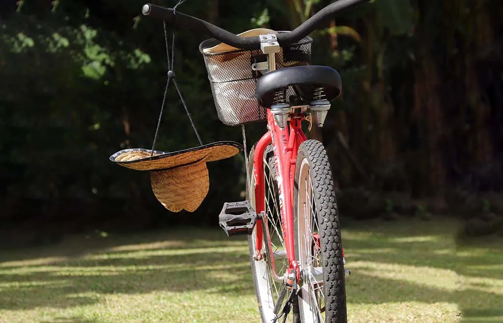 Location de vélo dans le jardin de la pension